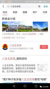 八义集头条号,揭秘历史八义，探寻智慧传承