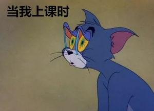形容吃瓜的心情说说,品味生活，畅享瓜界盛宴