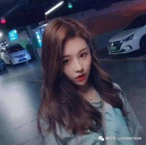 温婉吃瓜头像