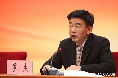 镇巴新闻头条罗杰,聚焦热点事件，揭示社会动态
