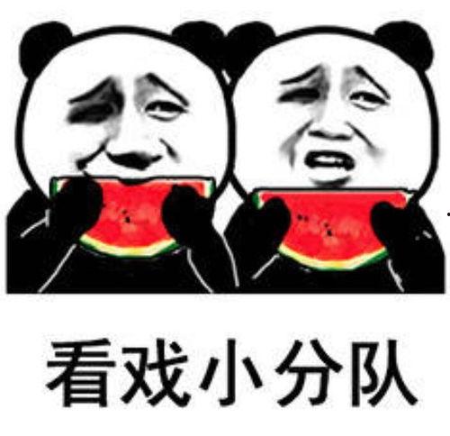 吃瓜姐姐的表情包,笑料横生的网络潮流