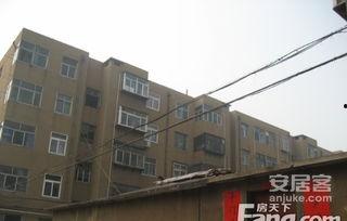奎文区北宫东街新闻头条,惊心动魄事件引发社会关注